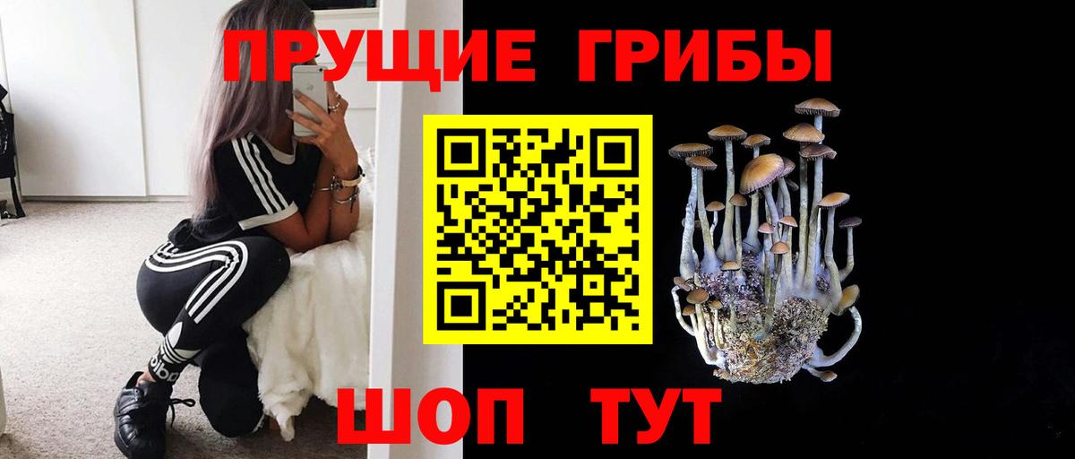 Галлюциногенные грибы Psilocybe  Вход с VPN  Славянск-на-Кубани 